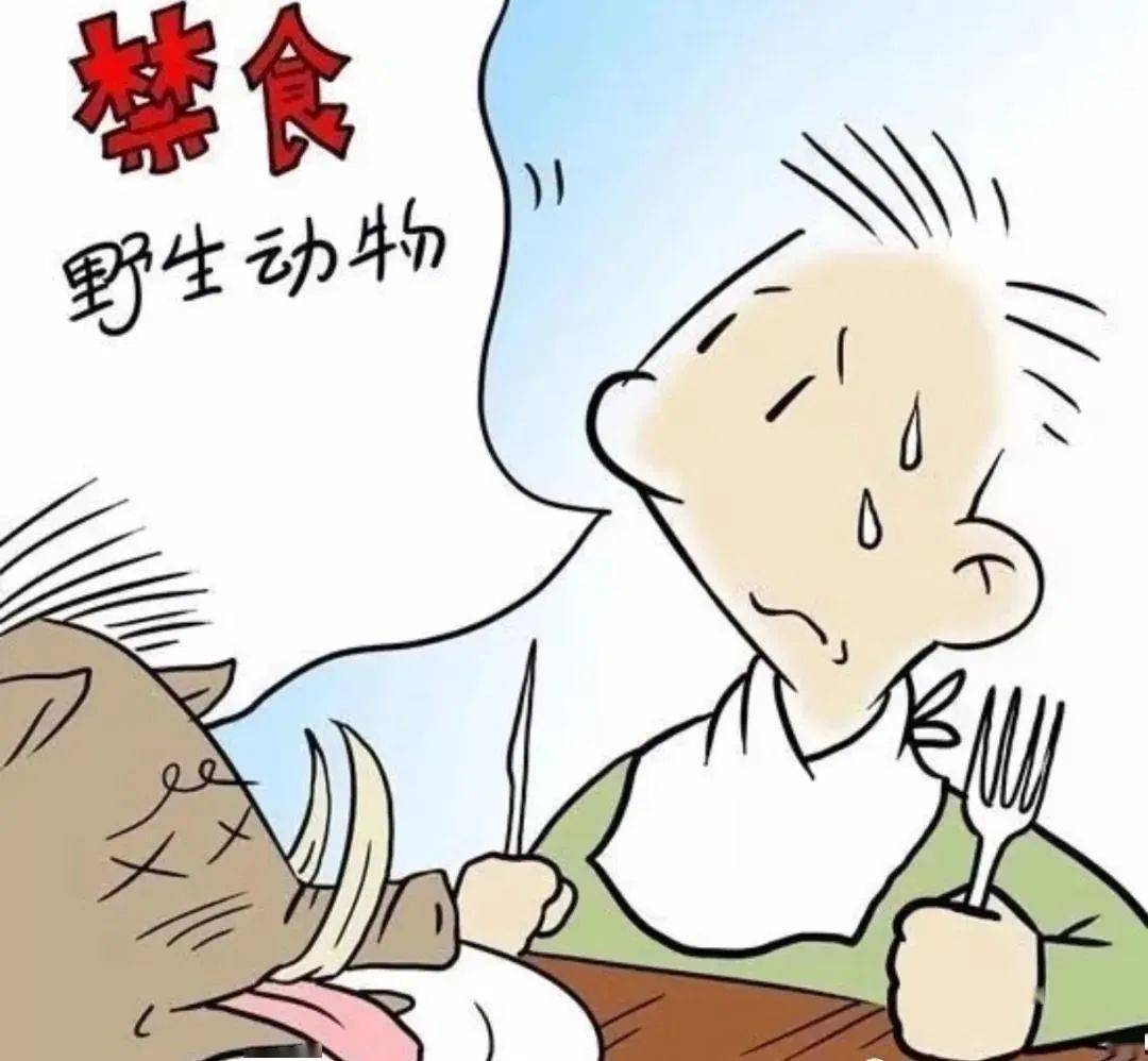 欲钱买吃同类的动物打猜一个最佳精准生肖与警惕虚假宣传-全面释义、专家解答解释落实