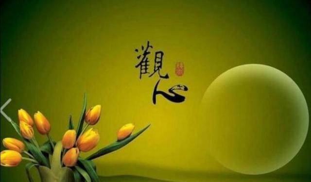 金影纵横惊宿鸟,二心坚定破重渊指什么生肖详细解答、解释与落实、时代解答解释落实