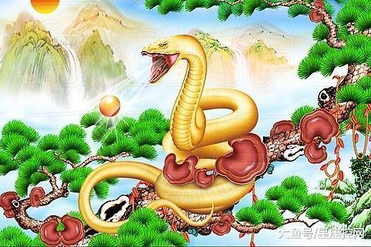 仙羊下界遍地春一举五合猴蛇战打一生肖,警惕虚假宣传、全面解答、构建解答解释落实