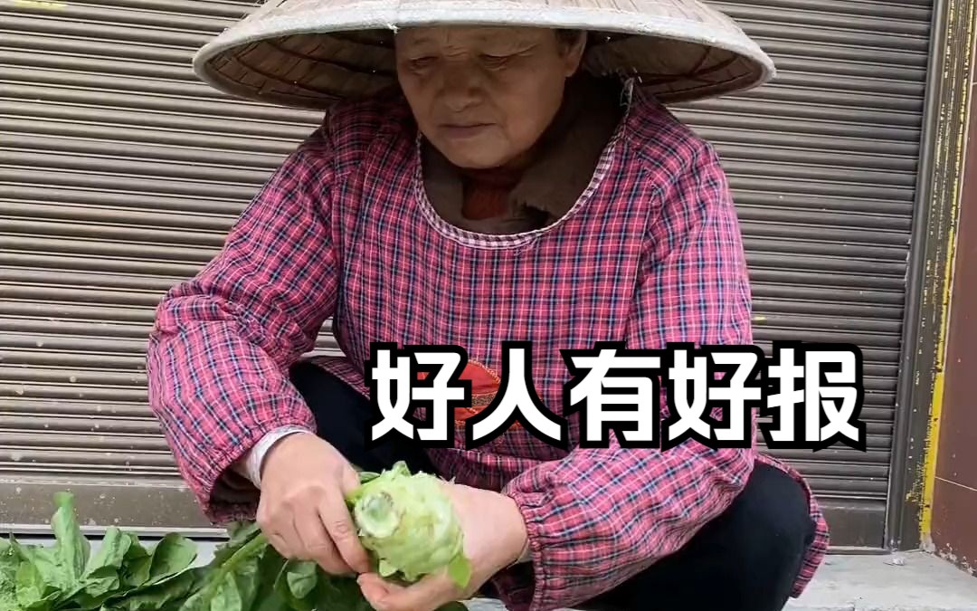 恶人自有恶人治，好人自有好来报打一生肖警惕虚假宣传、全面解答与解释、科学解答解释落实