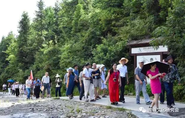 五花八门打一精准生肖、警惕虚假宣传-全面释义、构建解答解释落实