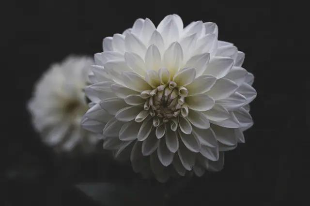 开弓没有回头箭打一正确生肖的警惕虚假宣传-全面释义、解释与落实、实时解答解释落实